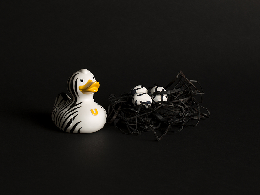 photographie d'un canard en plastique zébré avec ses petits oeufs zébrés dans un nid