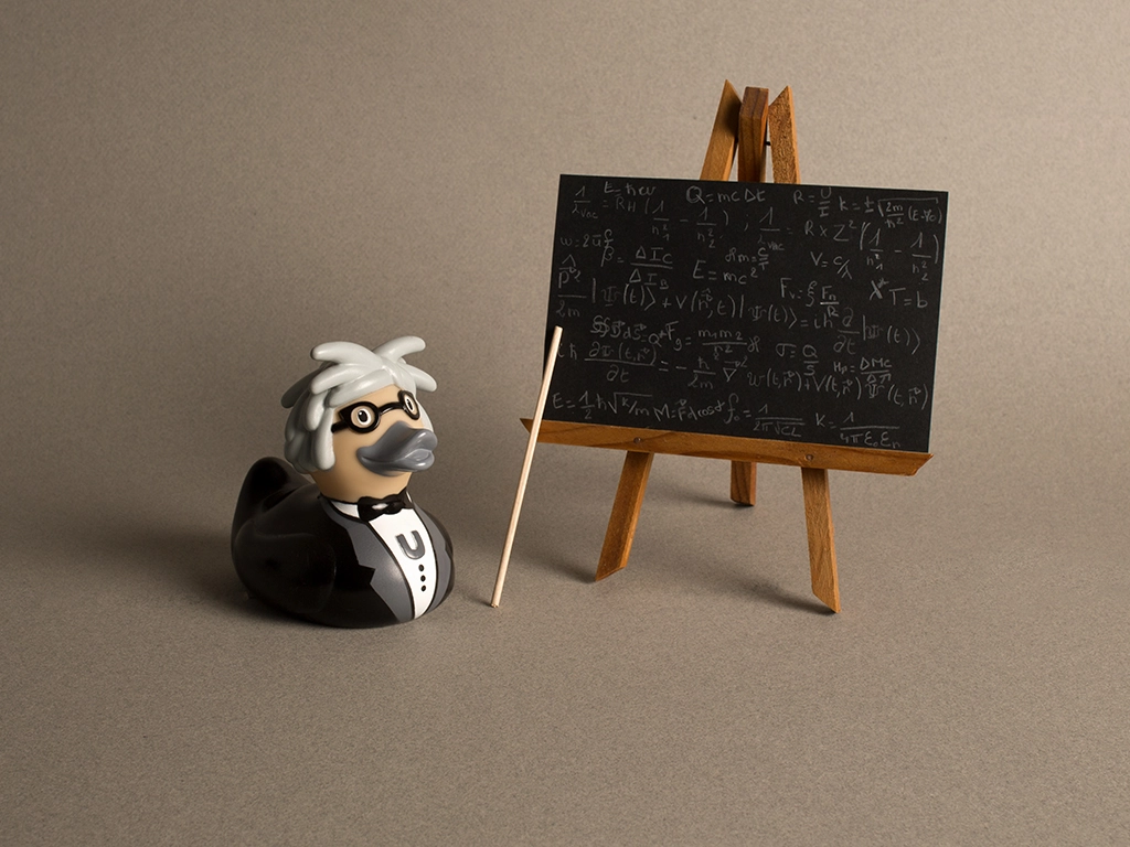 Canard en plastique savant fou avec son tableau noir et des calculs scientifiques sur fond gris